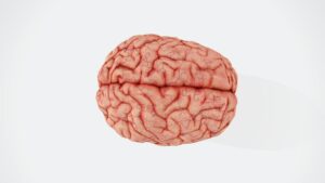 Researchers have created the world's first living computer which is capable of thinking using human brain cells.