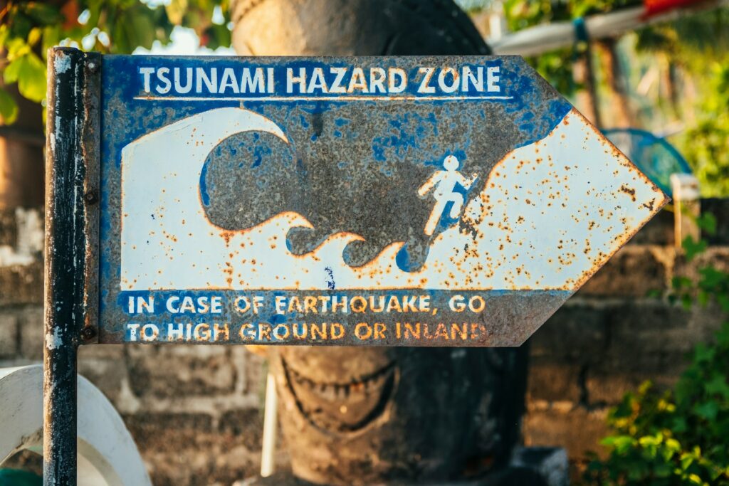 The Use of Artificial Intelligence in Disaster Management and Early Warning Systems
